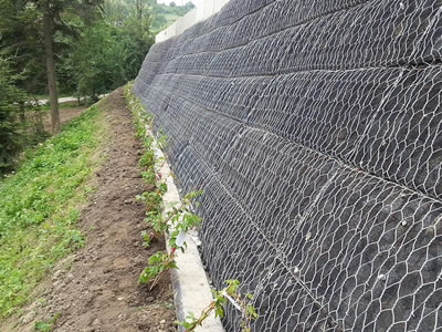 The right and upper part of slope shows a black interlayering green terramesh, the left and lower part shows a small slope with plats and trees.