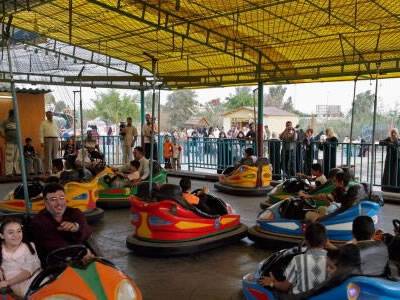 Several bumper cars in the yard and the ceiling is reinforced by chicken wire.