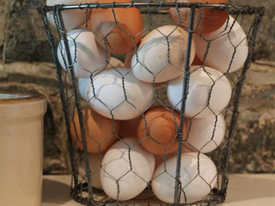 Eggs are placed in the egg cage made from chicken wire.