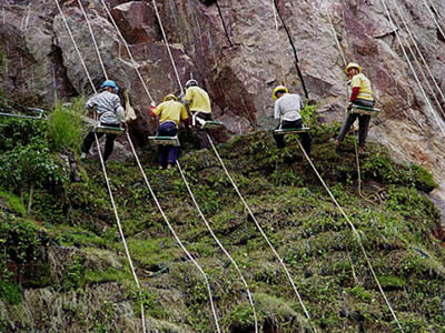 Five laborers are working on mountain, hung by ropes, to finish a slope vegetation project.
