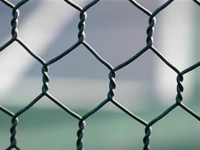 Three rows of wire mesh openings are showed, the wire mesh openings are all hexagonal openings.