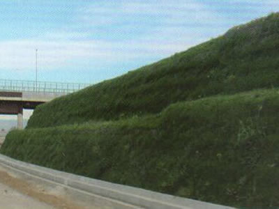 Grass have grown up from the original bare slope.