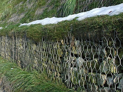 Gabion basket is filled with rocks, on the top of the basket, grass have grown.