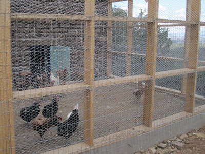 Galvanized hexagonal wire mesh surrounds the wooden frame to form a chicken coop.
