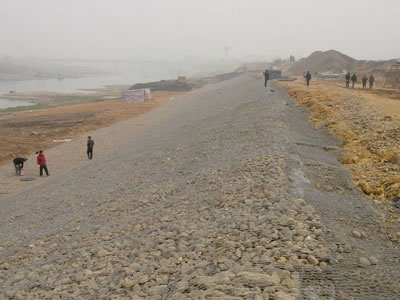 Galvanized hexagonal wire mesh tiles on stone slope.