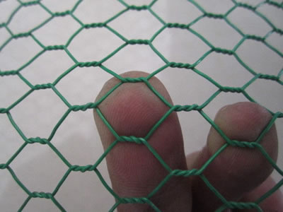 This picture shows green PVC coated hexagonal wire mesh with small holes.