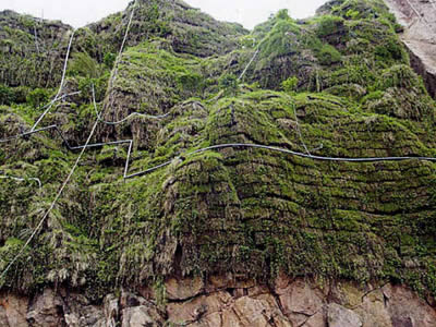 The upper part of mountain is full of cellar planting modules.