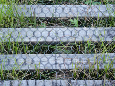 Hexagonal wire mesh is applied over the surface of plank made path, grass have grown under the path.