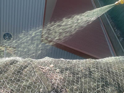 A hydroseeding gun is spraying seeds upon the upper hexagonal wire mesh and coir fiber below, that are both attached upon the mountain.