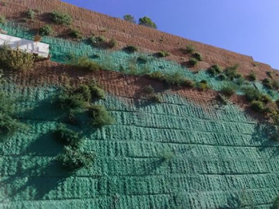 Green seeding has been sprayed onto the surface of green terramesh on a mountain.