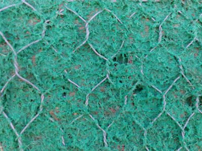 Seeding is sprayed onto the surface of hexagonal wire mesh.