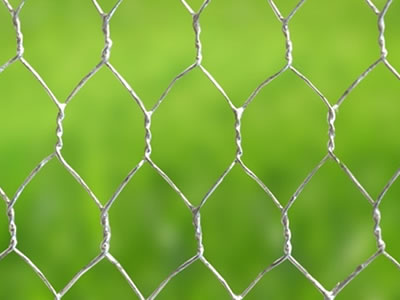 Hot dipped galvanized after weaving normal twist hexagonal mesh with green background.