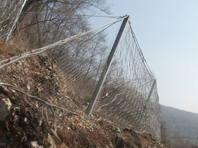 Hexagonal wire mesh and steel wire rope ring mesh are fixed on standing pillar