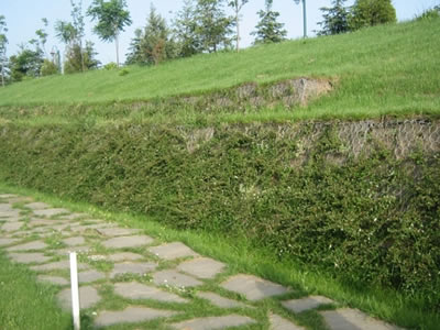 Two steps vegetated small slope winding its way along a small path.