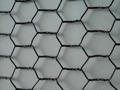A piece of black reverse twist PVC coated hexagonal wire mesh.