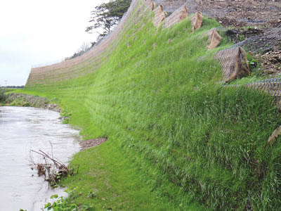 Besides a river, fiber blanket and hexagonal wire mesh made trellis develop a vegetated slope.