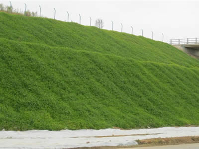 A large scale of vegetated slope is showed, the slope is formed by two stories, one story upon another.