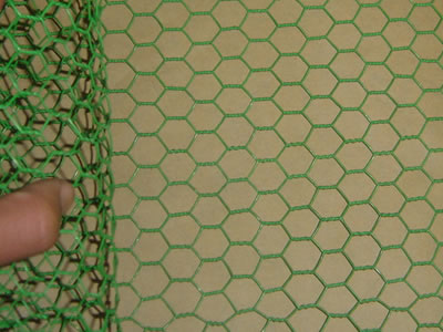 Green triple twisted PVC coated hexagonal wire mesh.