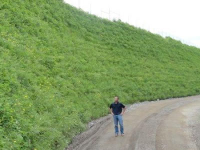 A man is standing besides the plants thriving mountain.