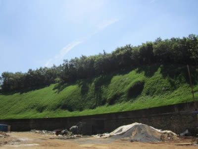 The results of construction is showed: the slope is full of grass.