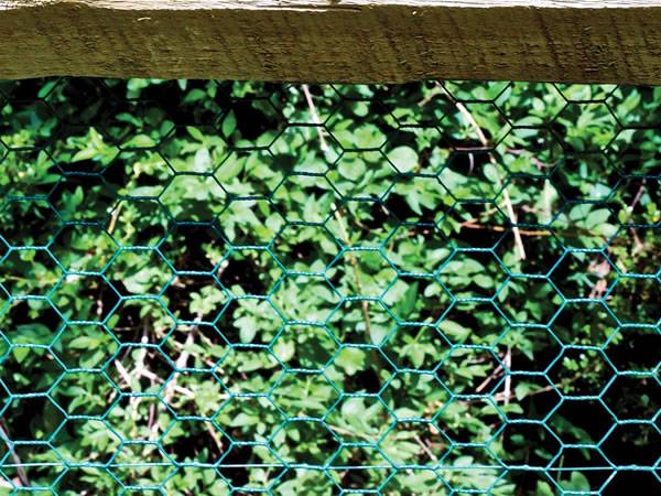 A piece of green vinyl coated chicken wire on the wooden frame.